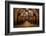 Old Wine Barrels in the Vault of Winery-Dmitriy Yakovlev-Framed Photographic Print