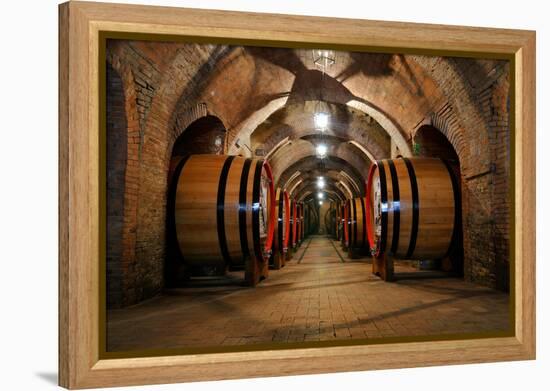 Old Wine Barrels in the Vault of Winery-Dmitriy Yakovlev-Framed Premier Image Canvas