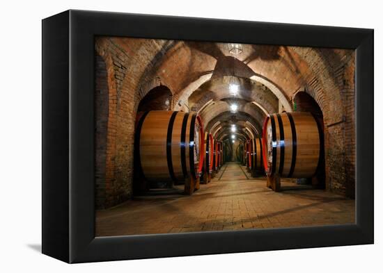 Old Wine Barrels in the Vault of Winery-Dmitriy Yakovlev-Framed Premier Image Canvas