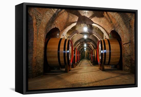 Old Wine Barrels in the Vault of Winery-Dmitriy Yakovlev-Framed Premier Image Canvas