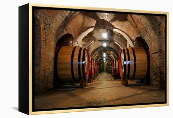 Old Wine Barrels in the Vault of Winery-Dmitriy Yakovlev-Framed Premier Image Canvas