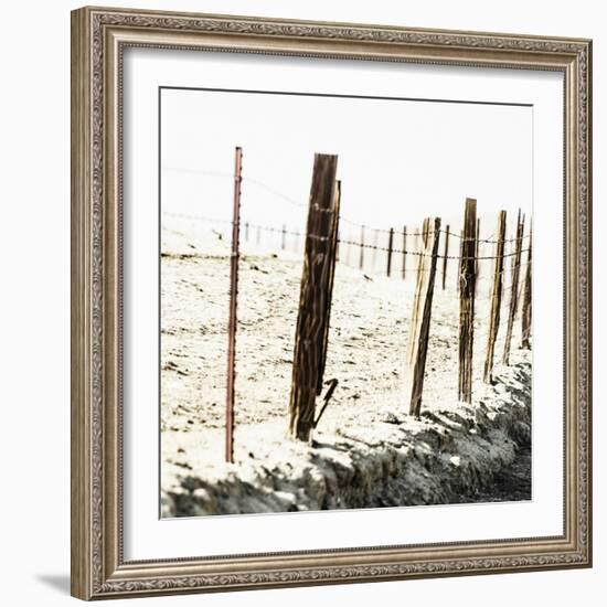 Old Wire Barbed Wire Fencing In The Afternoon Sun Along Panoche Road In San Benito County-Ron Koeberer-Framed Photographic Print