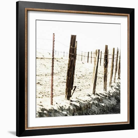 Old Wire Barbed Wire Fencing In The Afternoon Sun Along Panoche Road In San Benito County-Ron Koeberer-Framed Photographic Print