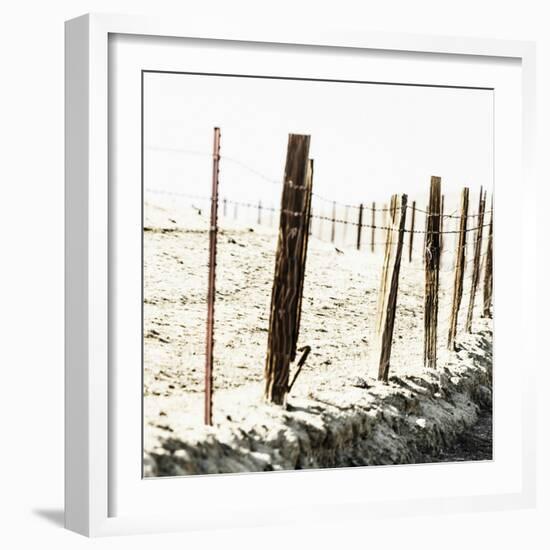 Old Wire Barbed Wire Fencing In The Afternoon Sun Along Panoche Road In San Benito County-Ron Koeberer-Framed Photographic Print
