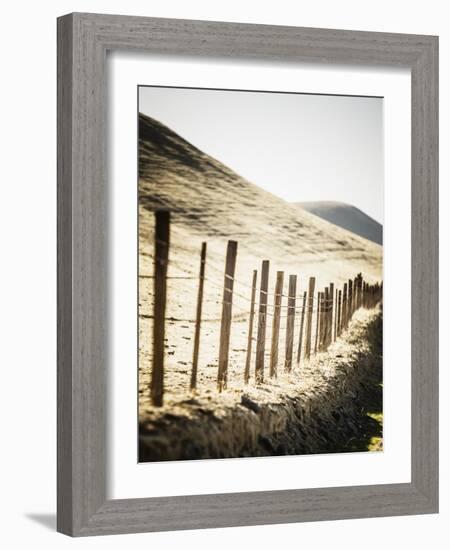 Old Wire Barbed Wire Fencing In The Afternoon Sun Along Panoche Road In San Benito County-Ron Koeberer-Framed Photographic Print