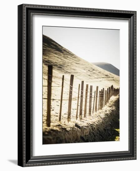 Old Wire Barbed Wire Fencing In The Afternoon Sun Along Panoche Road In San Benito County-Ron Koeberer-Framed Photographic Print