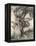 Old Woman in the Wood-Arthur Rackham-Framed Premier Image Canvas