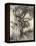 Old Woman in the Wood-Arthur Rackham-Framed Premier Image Canvas