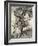 Old Woman in the Wood-Arthur Rackham-Framed Photographic Print