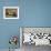 Old Woman Paddling Boat at Floating Market, Damoen Saduak, Thailand-Gavriel Jecan-Framed Photographic Print displayed on a wall