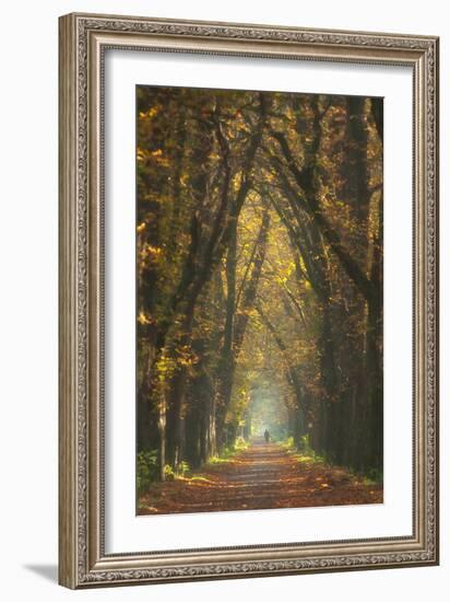 Old Woman-Marcin Sobas-Framed Photographic Print