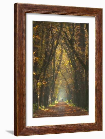 Old Woman-Marcin Sobas-Framed Photographic Print