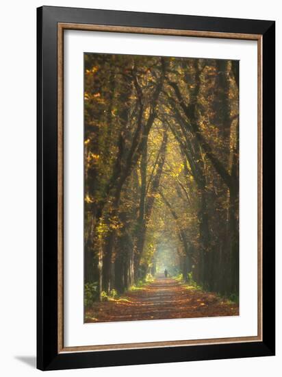 Old Woman-Marcin Sobas-Framed Photographic Print