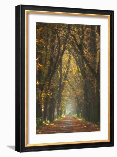 Old Woman-Marcin Sobas-Framed Photographic Print