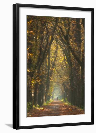 Old Woman-Marcin Sobas-Framed Photographic Print