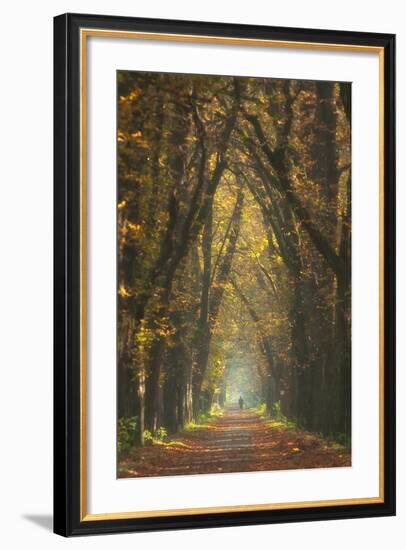 Old Woman-Marcin Sobas-Framed Photographic Print