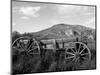 Old Wood Wagon near Mining Ghost Town at Bannack State Park, Montana, USA-Jamie & Judy Wild-Mounted Photographic Print