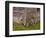 Old Wooden Barn with Wagon Wheels in Rural New England, Maine, USA-Joanne Wells-Framed Photographic Print