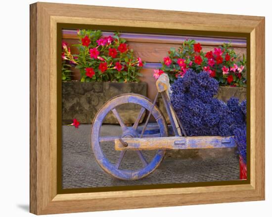 Old Wooden Cart with Fresh-Cut Lavender, Sault, Provence, France-Jim Zuckerman-Framed Premier Image Canvas