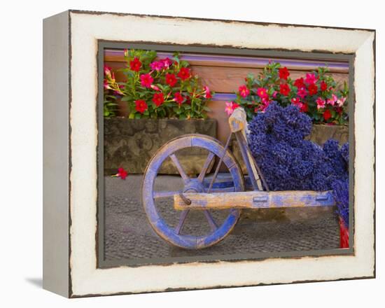 Old Wooden Cart with Fresh-Cut Lavender, Sault, Provence, France-Jim Zuckerman-Framed Premier Image Canvas