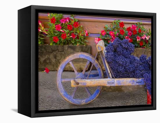 Old Wooden Cart with Fresh-Cut Lavender, Sault, Provence, France-Jim Zuckerman-Framed Premier Image Canvas