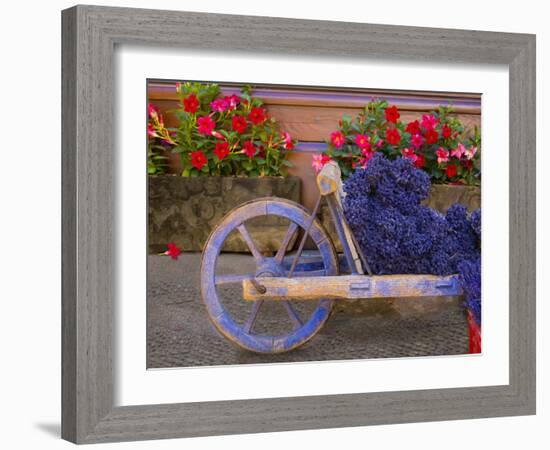 Old Wooden Cart with Fresh-Cut Lavender, Sault, Provence, France-Jim Zuckerman-Framed Photographic Print