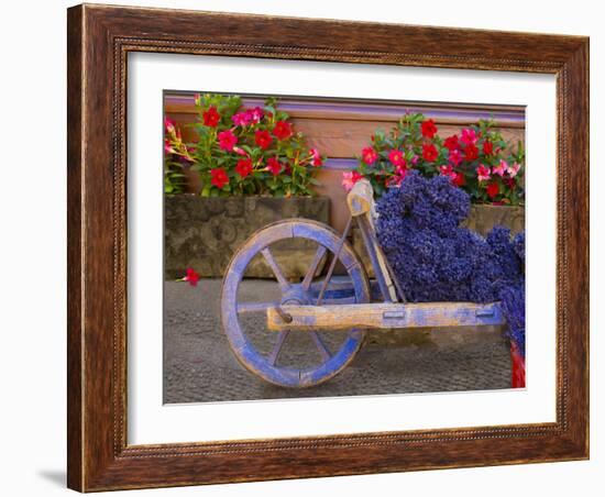 Old Wooden Cart with Fresh-Cut Lavender, Sault, Provence, France-Jim Zuckerman-Framed Photographic Print