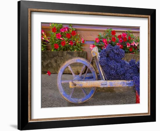 Old Wooden Cart with Fresh-Cut Lavender, Sault, Provence, France-Jim Zuckerman-Framed Photographic Print