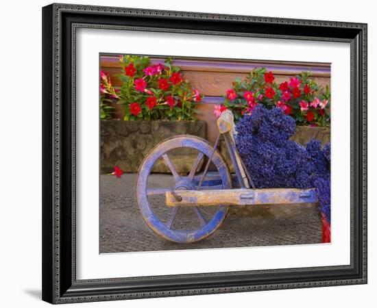 Old Wooden Cart with Fresh-Cut Lavender, Sault, Provence, France-Jim Zuckerman-Framed Photographic Print