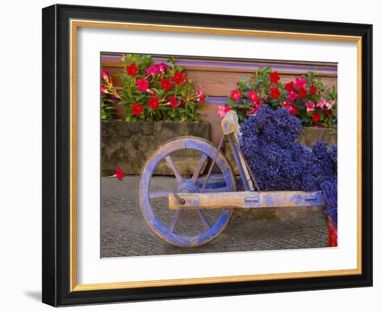 Old Wooden Cart with Fresh-Cut Lavender, Sault, Provence, France-Jim Zuckerman-Framed Photographic Print