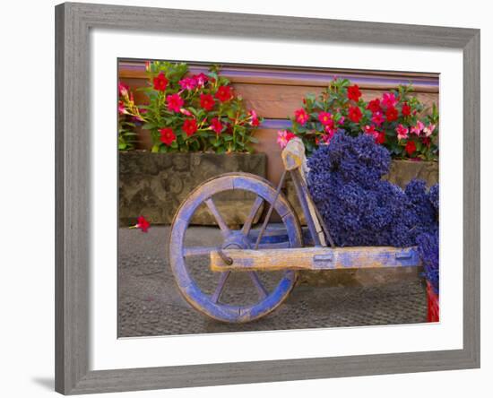 Old Wooden Cart with Fresh-Cut Lavender, Sault, Provence, France-Jim Zuckerman-Framed Photographic Print