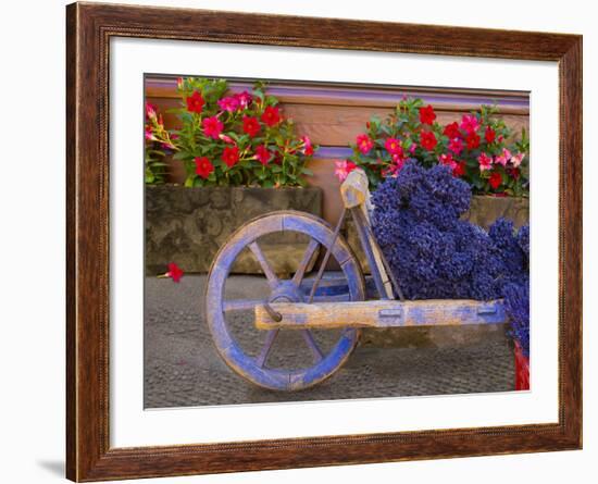 Old Wooden Cart with Fresh-Cut Lavender, Sault, Provence, France-Jim Zuckerman-Framed Photographic Print