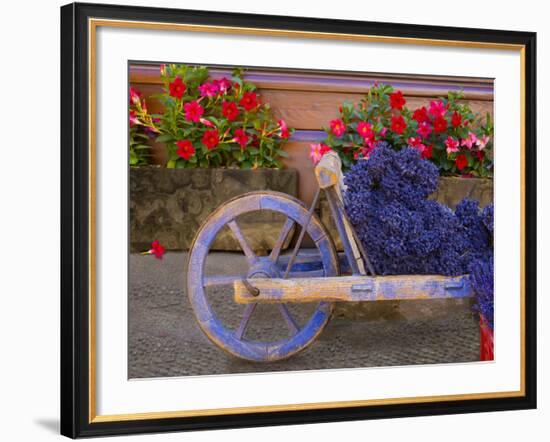 Old Wooden Cart with Fresh-Cut Lavender, Sault, Provence, France-Jim Zuckerman-Framed Photographic Print