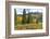 Old Wooden Fence and Autumn Colors in the San Juan Mountains of Colorado-John Alves-Framed Photographic Print