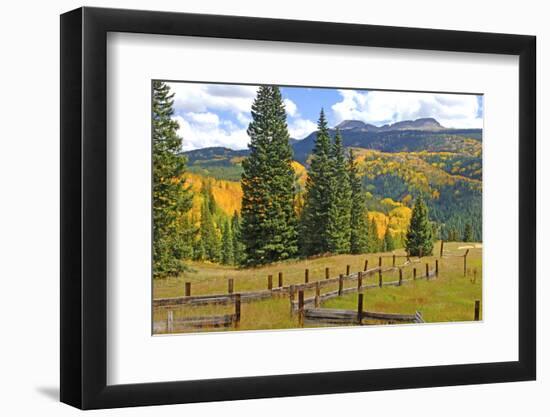 Old Wooden Fence and Autumn Colors in the San Juan Mountains of Colorado-John Alves-Framed Photographic Print