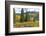 Old Wooden Fence and Autumn Colors in the San Juan Mountains of Colorado-John Alves-Framed Photographic Print