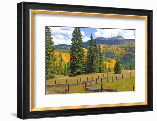 Old Wooden Fence and Autumn Colors in the San Juan Mountains of Colorado-John Alves-Framed Photographic Print