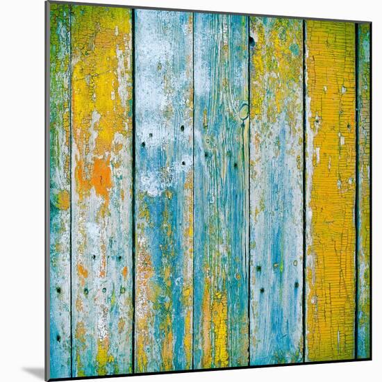 Old Wooden Planks Painted with Paint Cracked by a Rustic Background-Elena Larina-Mounted Art Print