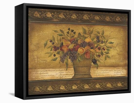 Old World Abundance I-Kimberly Poloson-Framed Stretched Canvas