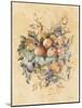 Old World Fruit-Cheri Blum-Mounted Art Print