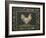 Old World Hen-Kimberly Poloson-Framed Art Print