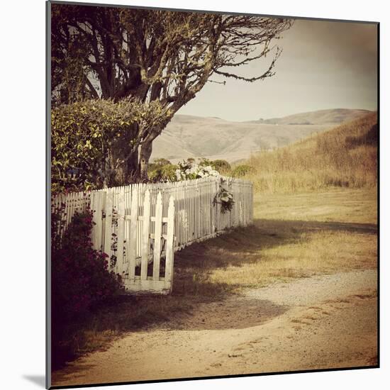 Olden Days 3-Lance Kuehne-Mounted Photographic Print