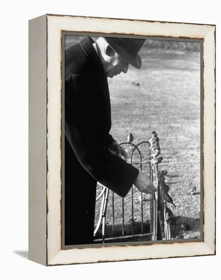 Older Man Feeding Birds Perched on a Fence in Hyde Park-Cornell Capa-Framed Premier Image Canvas