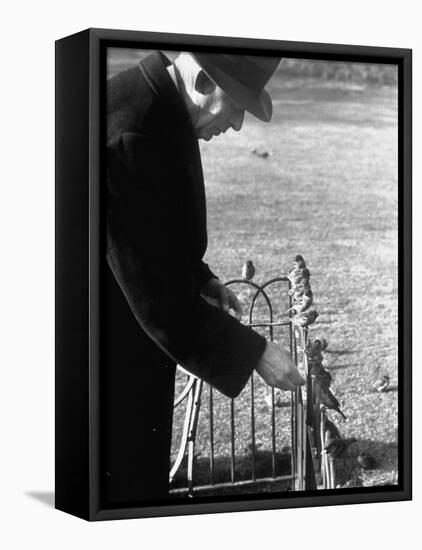 Older Man Feeding Birds Perched on a Fence in Hyde Park-Cornell Capa-Framed Premier Image Canvas