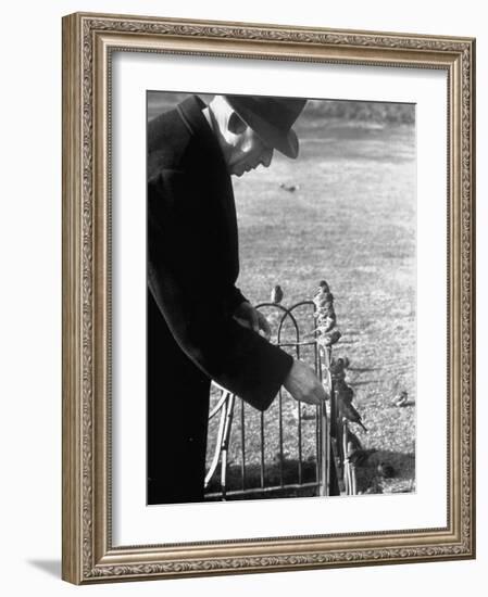 Older Man Feeding Birds Perched on a Fence in Hyde Park-Cornell Capa-Framed Photographic Print