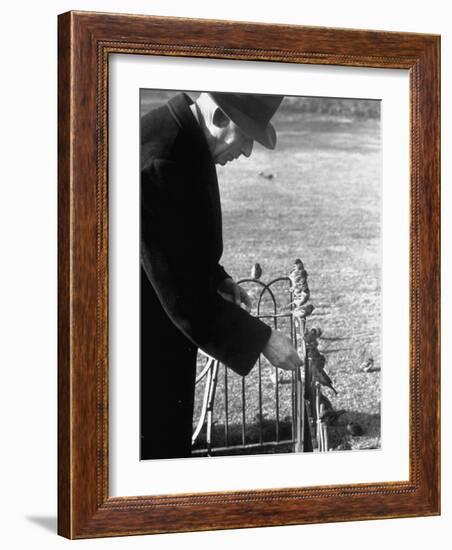 Older Man Feeding Birds Perched on a Fence in Hyde Park-Cornell Capa-Framed Photographic Print