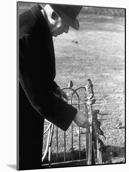 Older Man Feeding Birds Perched on a Fence in Hyde Park-Cornell Capa-Mounted Photographic Print