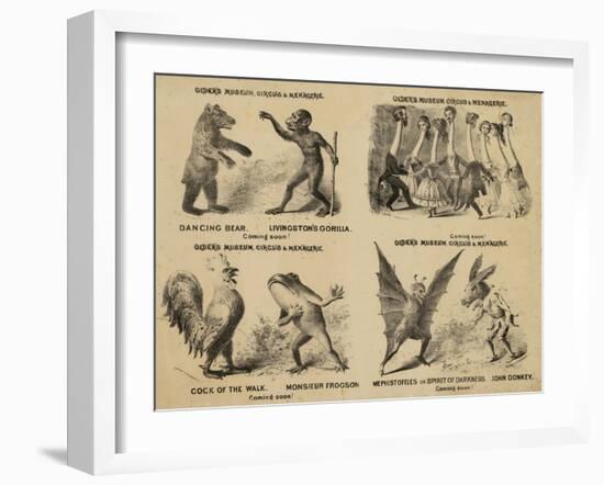 Older's Museum, Circus and Menagerie-null-Framed Giclee Print