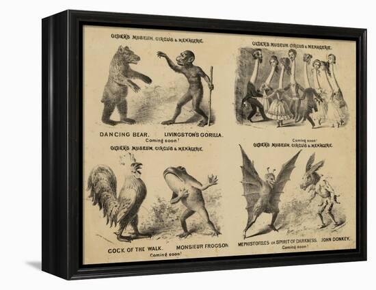 Older's Museum, Circus and Menagerie-null-Framed Premier Image Canvas