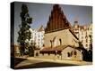 Stretched Canvas Print
